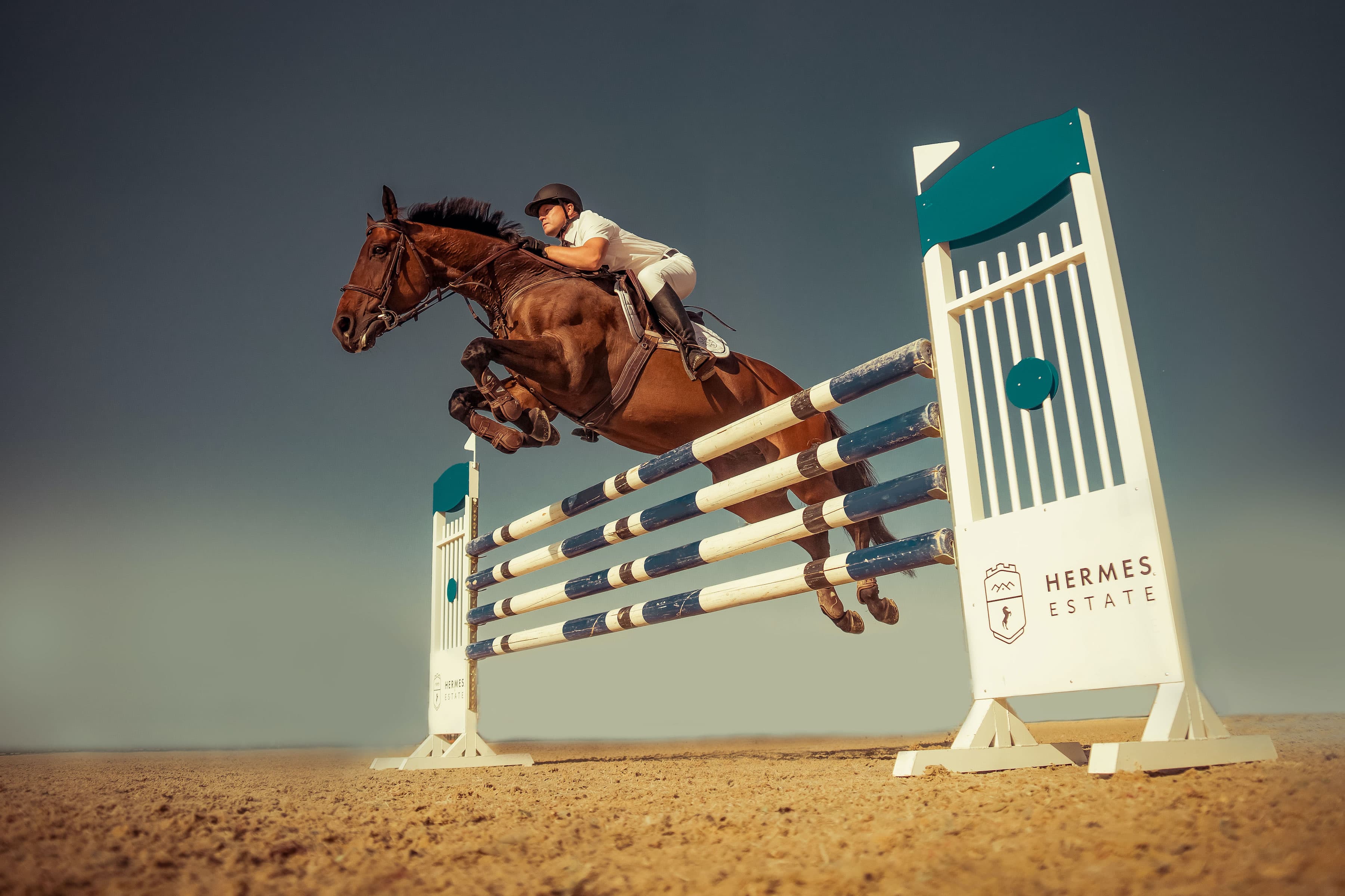 Золотой всадник Гермеса 1 сезон