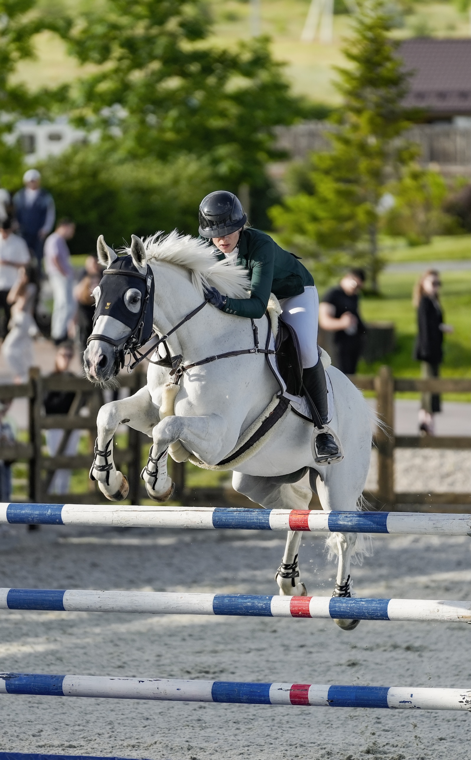 Всадник на лошади